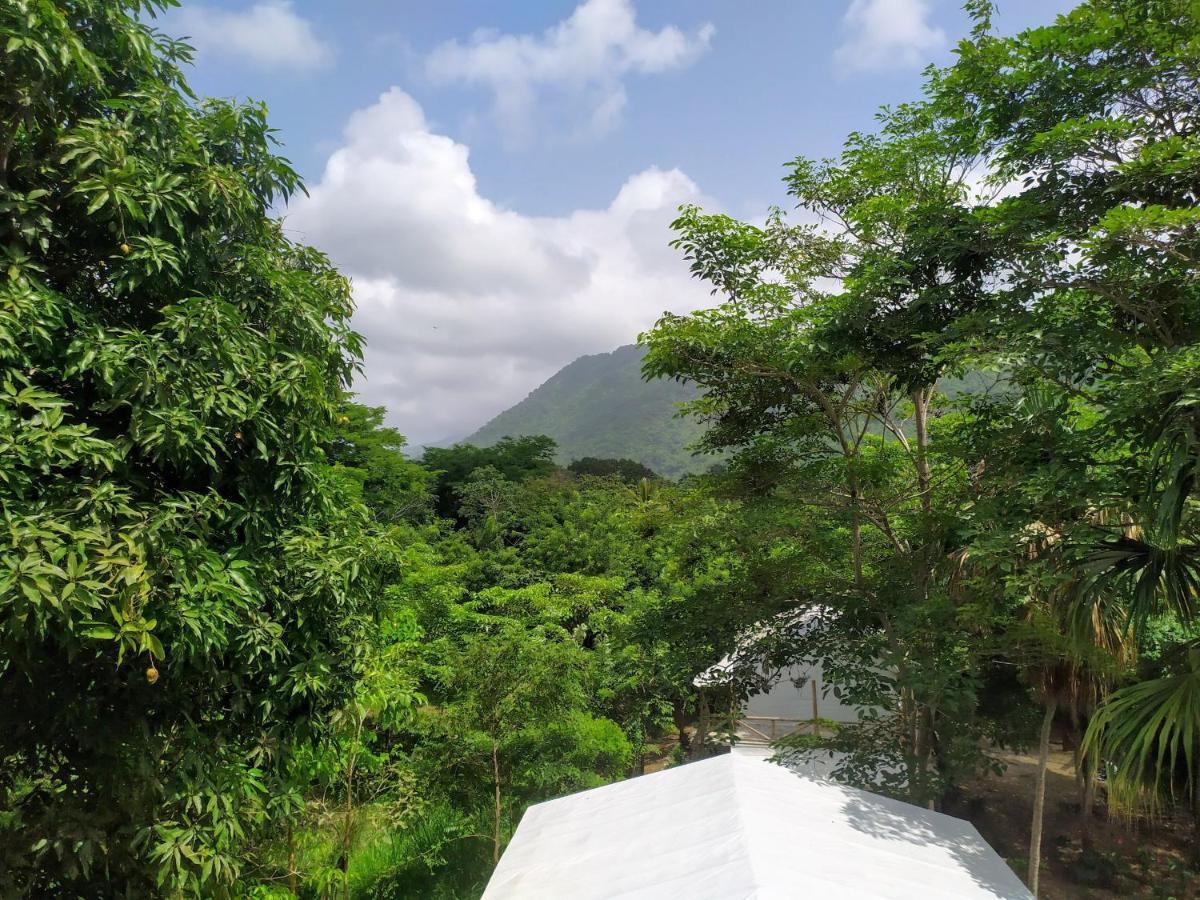 Serrano Tayrona Lodge El Zaino Ngoại thất bức ảnh