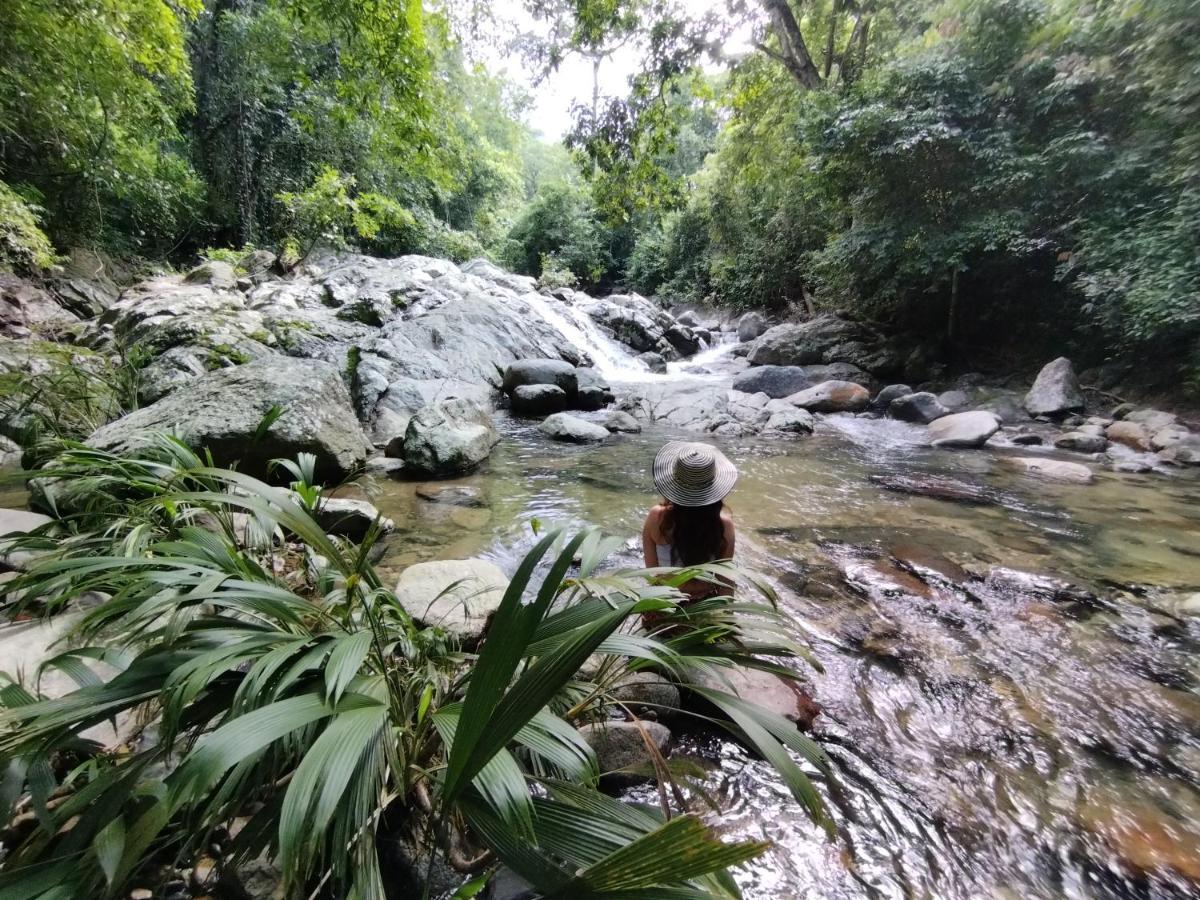 Serrano Tayrona Lodge El Zaino Ngoại thất bức ảnh