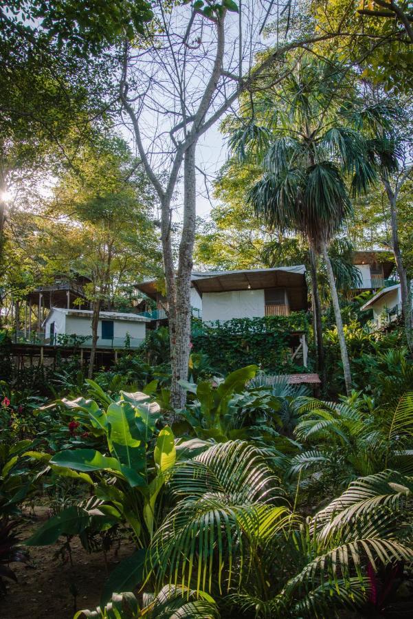 Serrano Tayrona Lodge El Zaino Ngoại thất bức ảnh