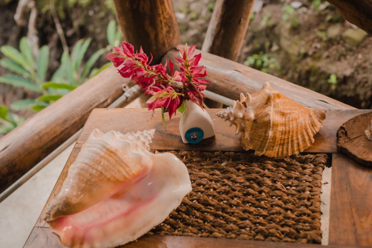 Serrano Tayrona Lodge El Zaino Ngoại thất bức ảnh