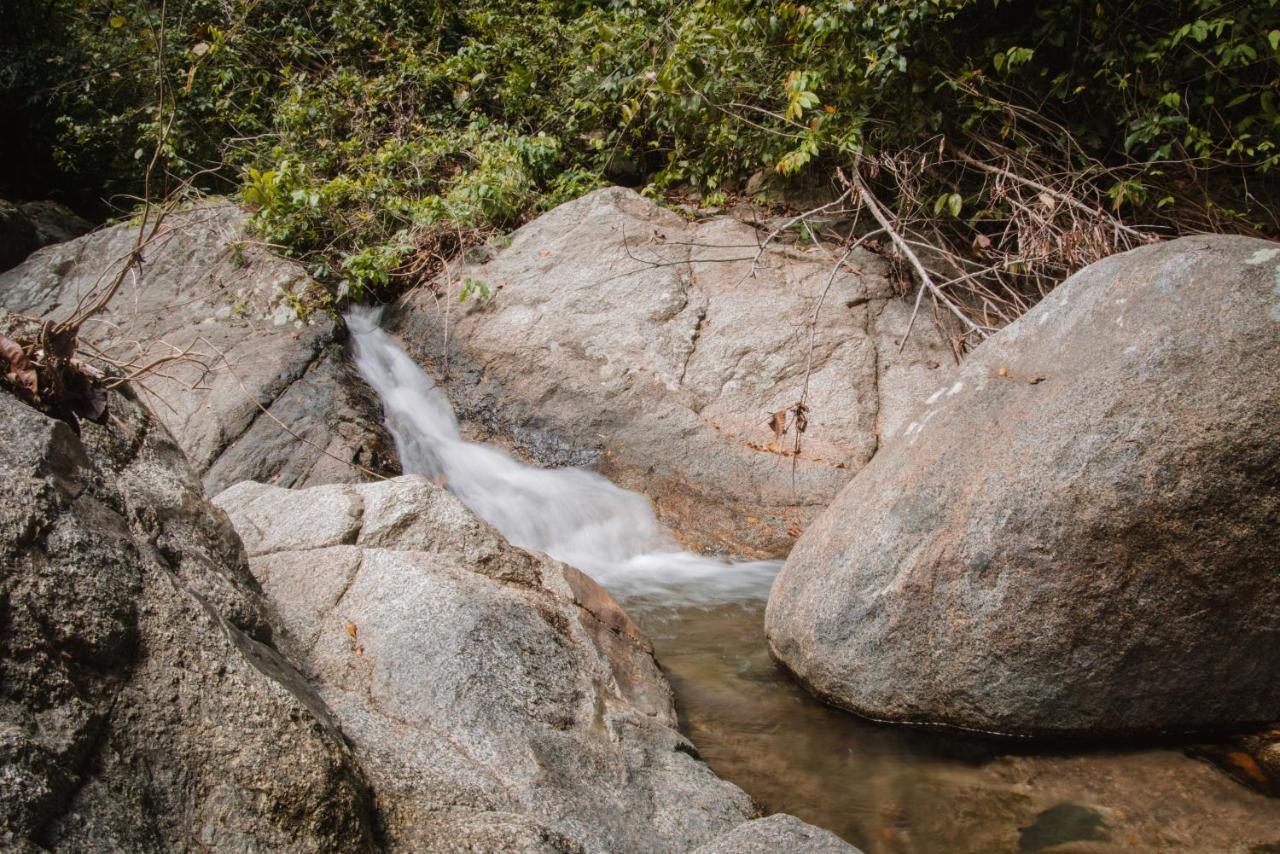 Serrano Tayrona Lodge El Zaino Ngoại thất bức ảnh