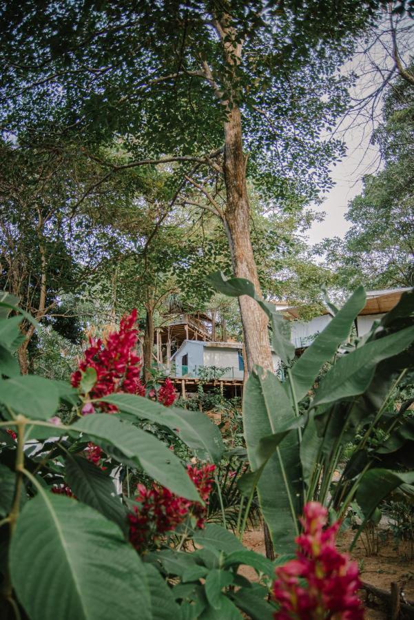 Serrano Tayrona Lodge El Zaino Ngoại thất bức ảnh