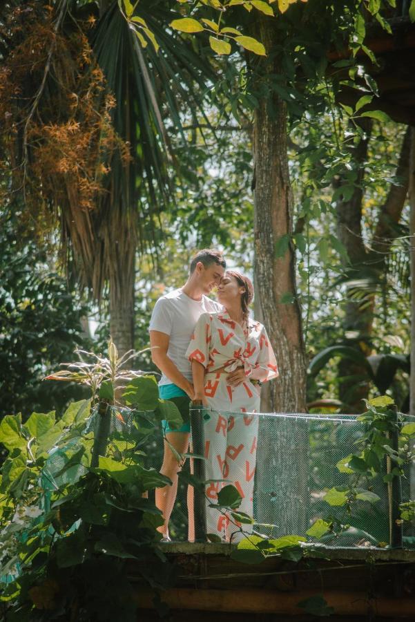 Serrano Tayrona Lodge El Zaino Ngoại thất bức ảnh