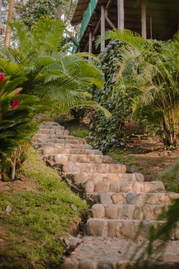 Serrano Tayrona Lodge El Zaino Ngoại thất bức ảnh
