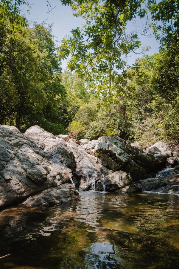 Serrano Tayrona Lodge El Zaino Ngoại thất bức ảnh