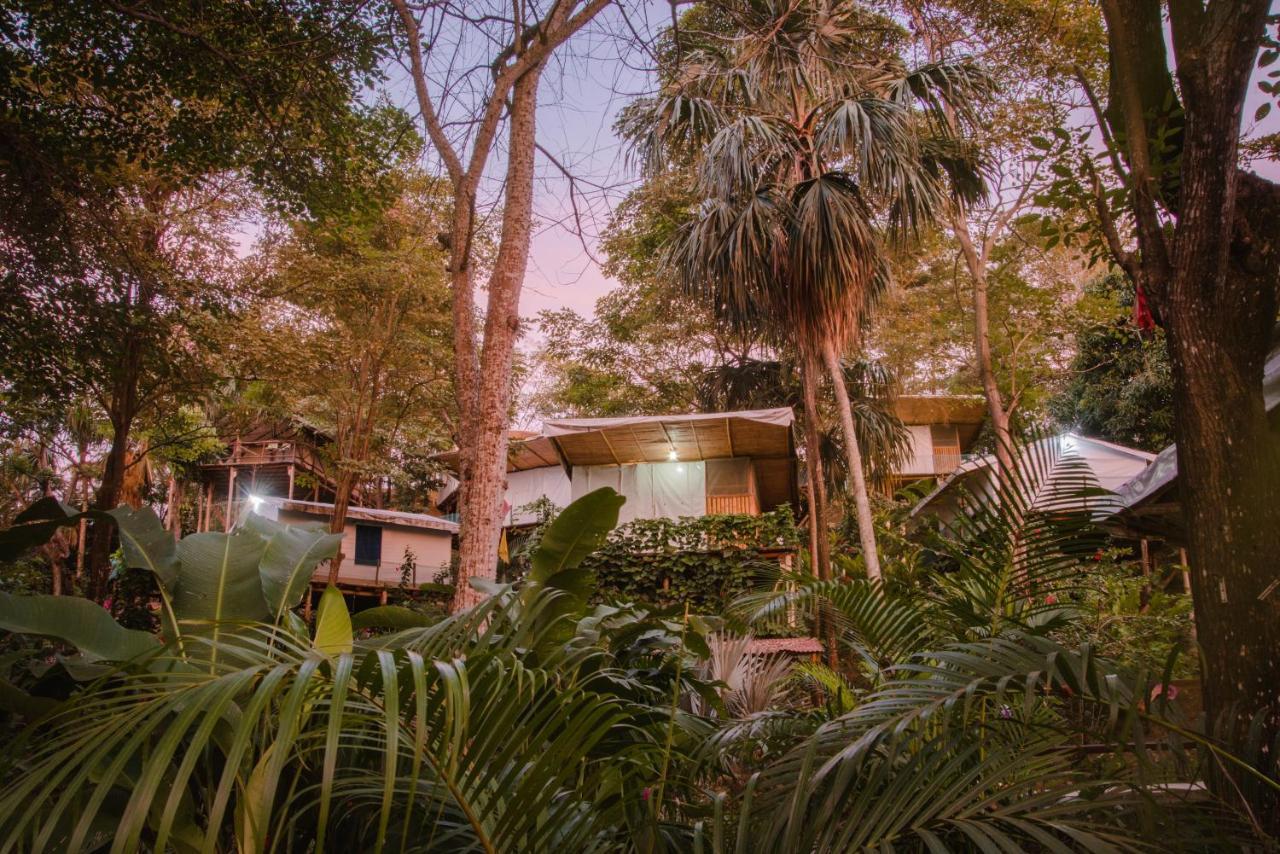 Serrano Tayrona Lodge El Zaino Ngoại thất bức ảnh