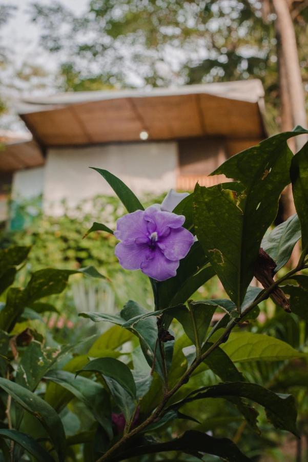 Serrano Tayrona Lodge El Zaino Ngoại thất bức ảnh